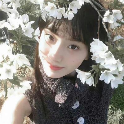 黑道家族 第二季
